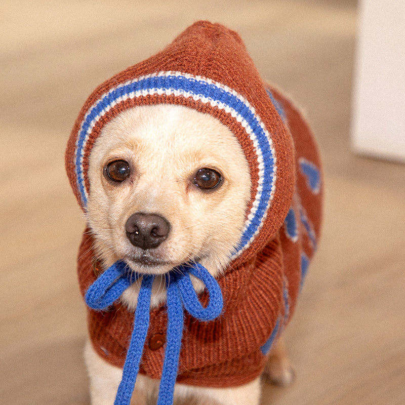 mix dog wearing Love Edition Knit Vest & Bonnet set in brown color