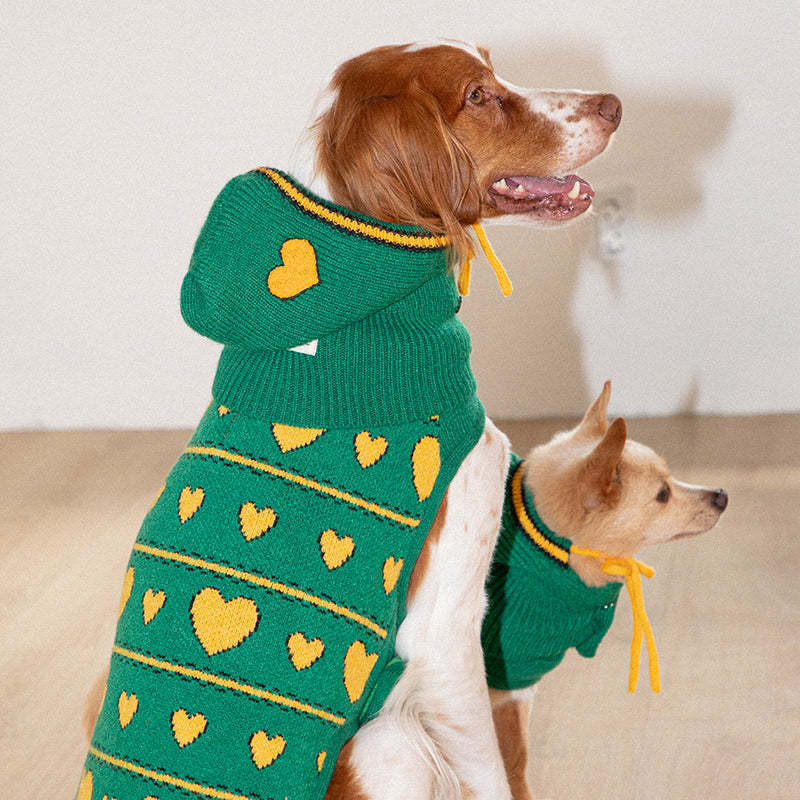 brittany spaniel and mix dog are wearing Love Edition Knit Vest & Bonnet set in green color