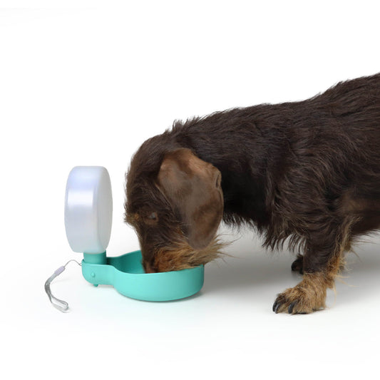 PINGUI - Bouteille d'eau portable pour chiens