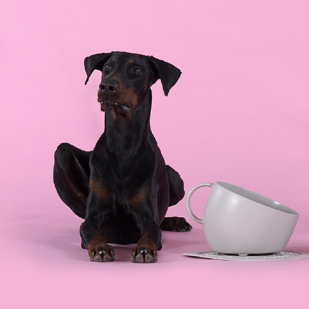 Ensemble CUP - Bol et dessous de bol