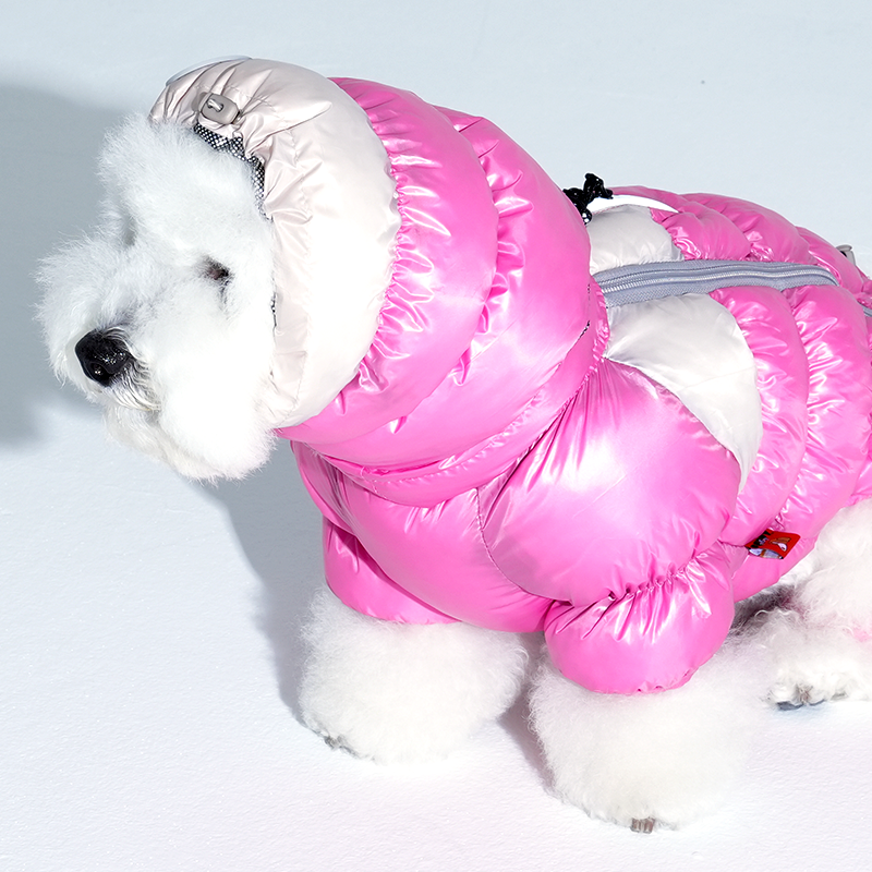 bichon wearing Whitsler cloud padding snood in pink color