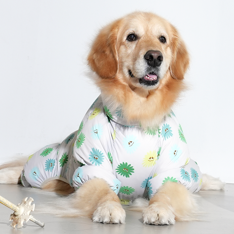 golden retriever wearing anemone cloud all in one in beige color