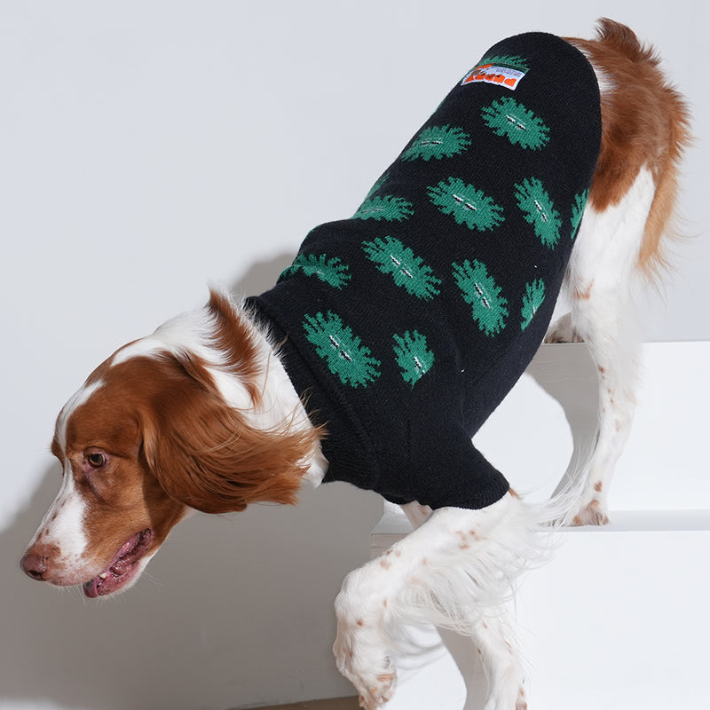 brittany spaniel is wearing anemone knit sweater in black color