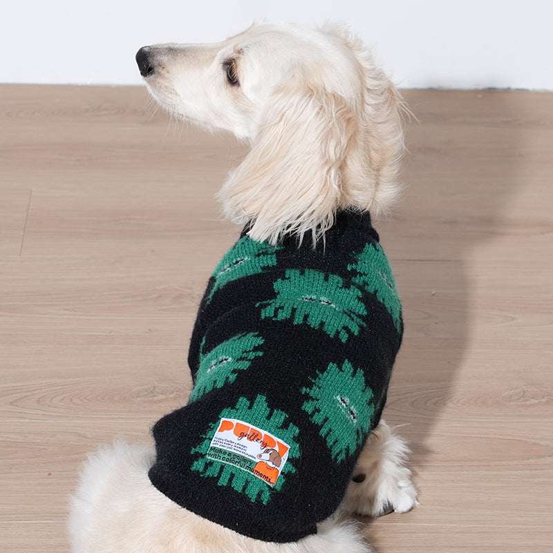 dachshund is wearing anemone knit sweater in black color