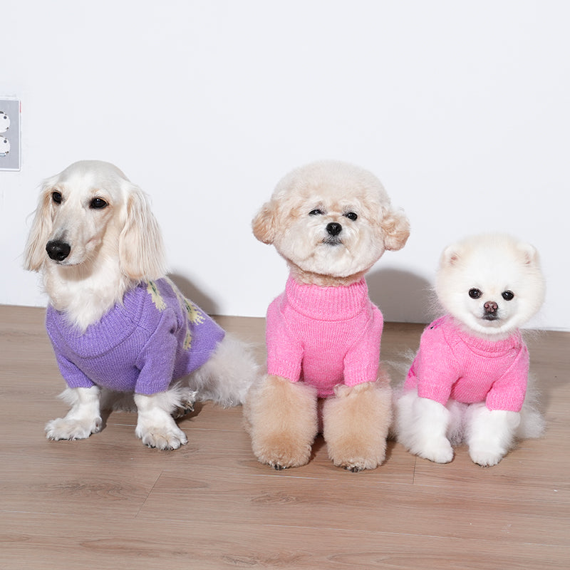 dachshund, poodle and pomeranian are wearing anemone knit sweaters in purple and pink color