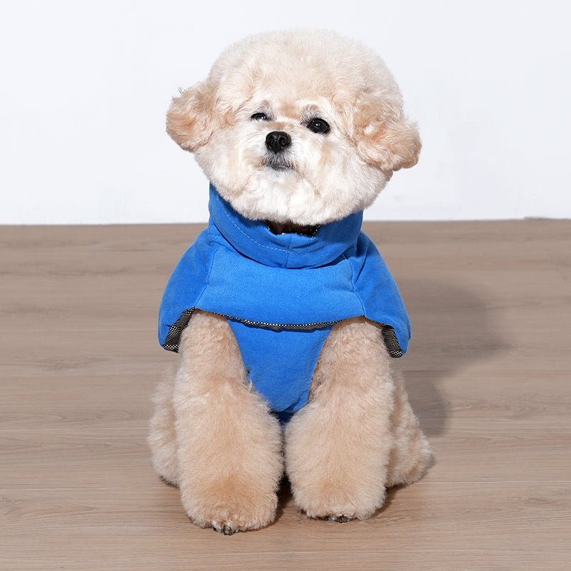 poodle wearing banana padded coat in blue color