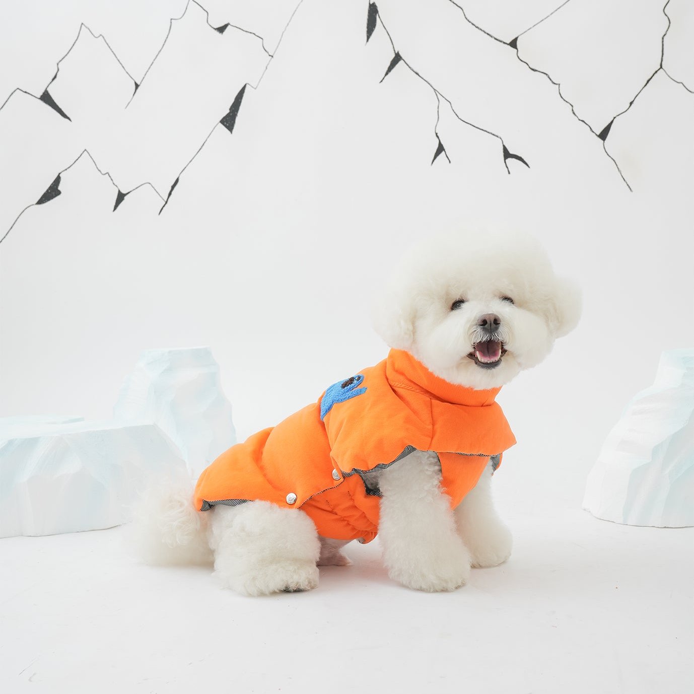 Bichon wearing banana padded coat in orange color