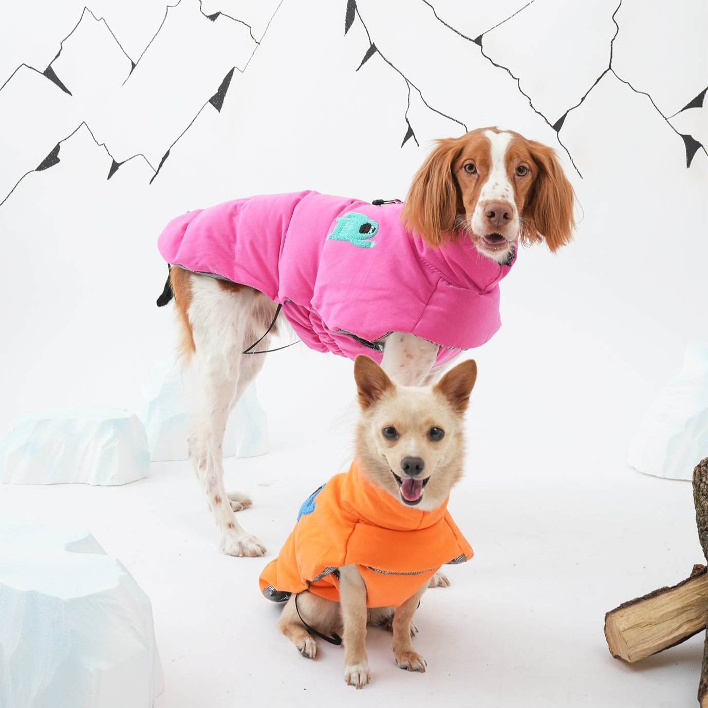 Brittany spaniel and mix dog wearing banana padded coat in orange and pink color