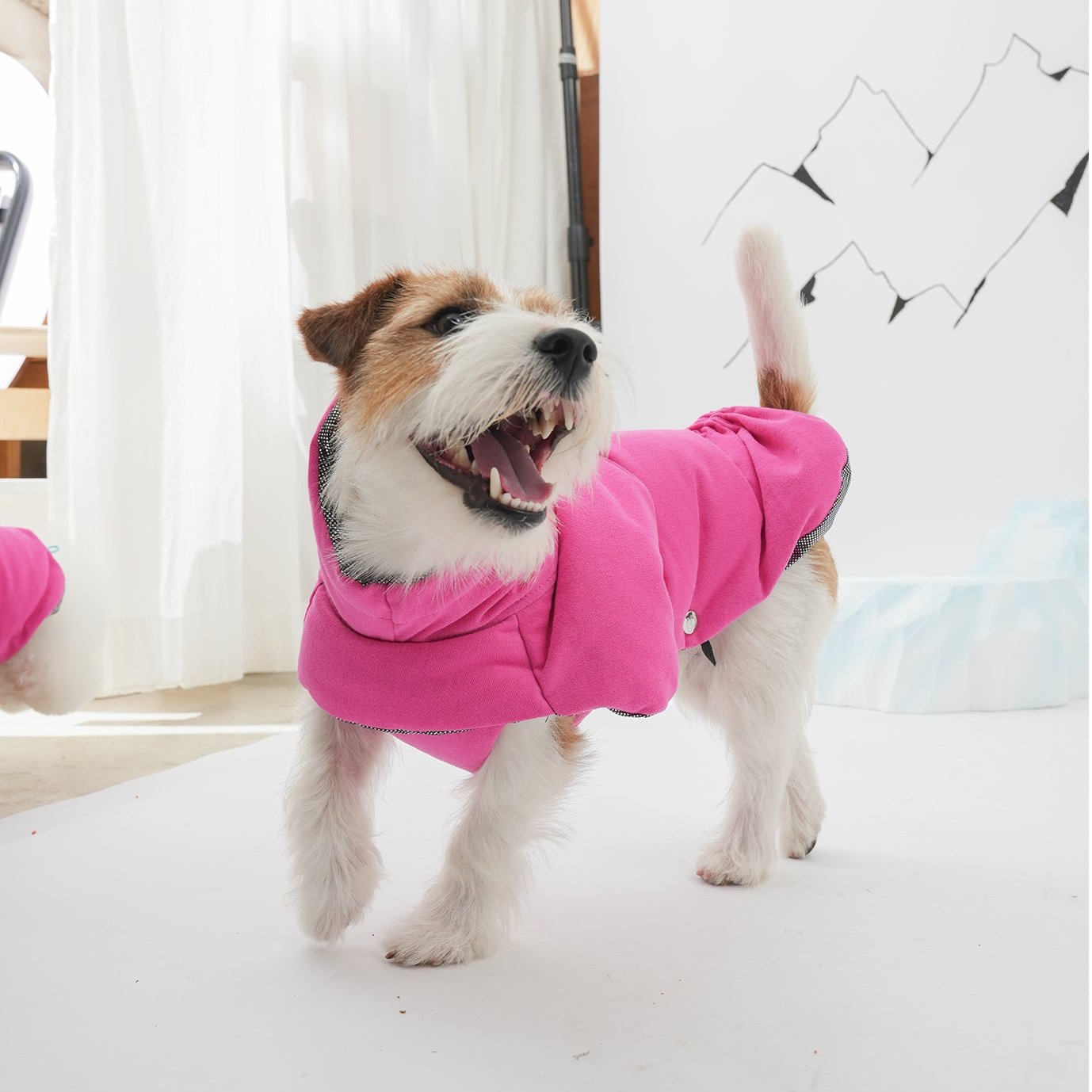 mix dog wearing banana padded coat in pink color