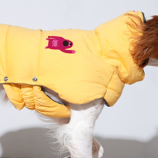 Brittany spaniel wearing banana padded coat in yellow color