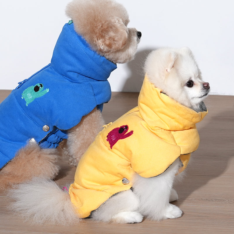 Pomeranian and poodle wearing banana padded coat in blue and yellow color