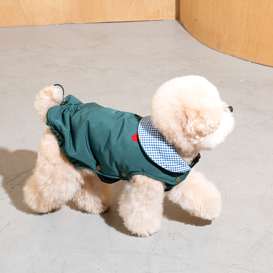 poodle wearing check my heart padding in green and checkered
