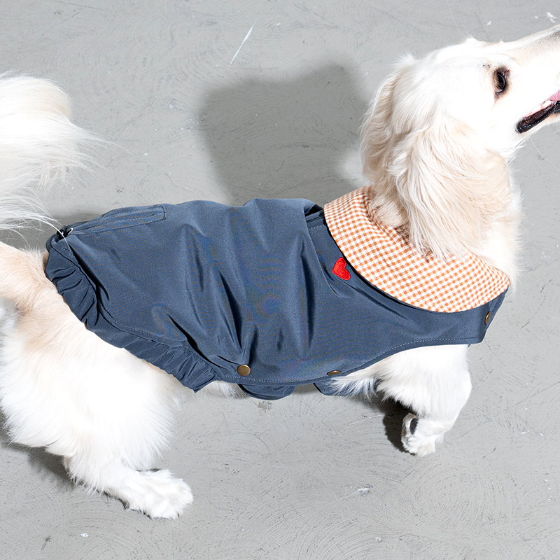 dachshund wearing check my heart padding in navy with heart