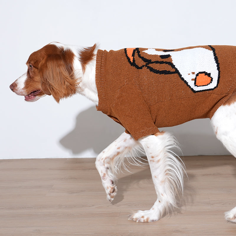 brittany spaniel wearing creamy soft knit sweater in brown color