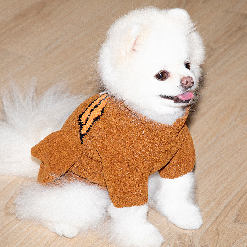 pomeranian wearing creamy soft knit sweater in brown color