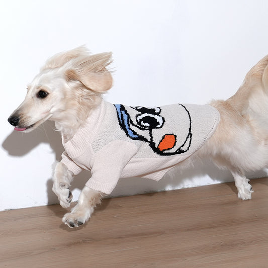 dachshund wearing creamy soft knit sweater in ivory color