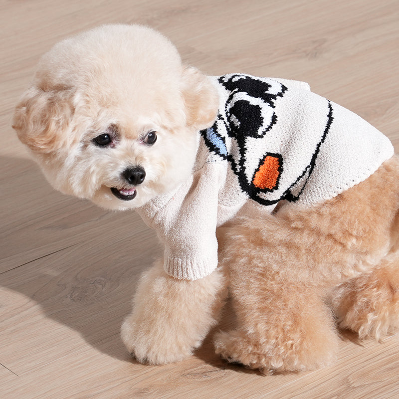 poodle wearing creamy soft knit sweater in ivory color