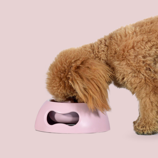 PAPPY - Gamelle pour chien/chat