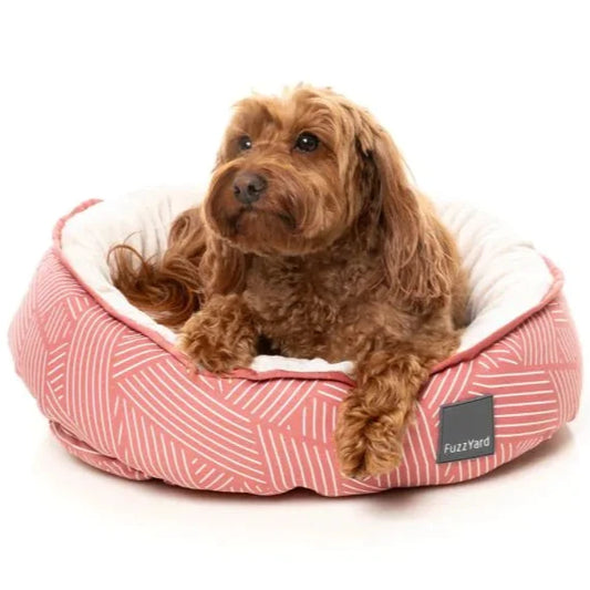Reversible Bed