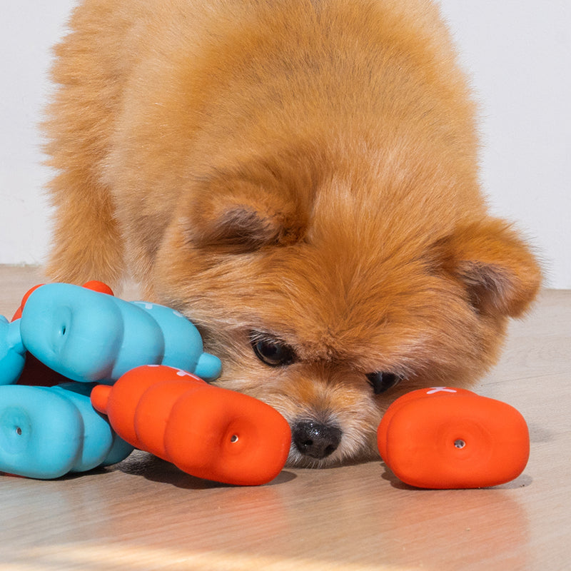 mix dog is playing latex toy bear