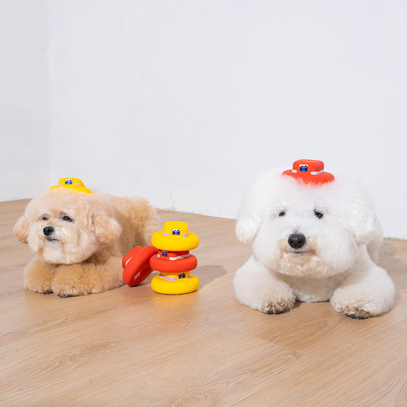 bichon and poodle are playing latex toy bucket hat in red and yellow color