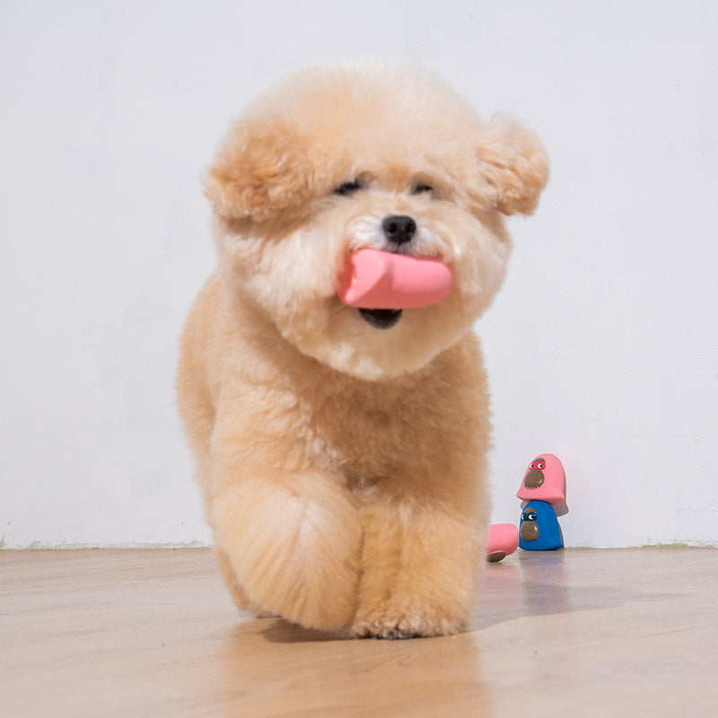 poodle is playing latex toy kiki in pink color