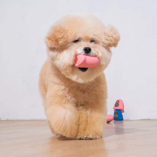 poodle is playing latex toy kiki in pink color