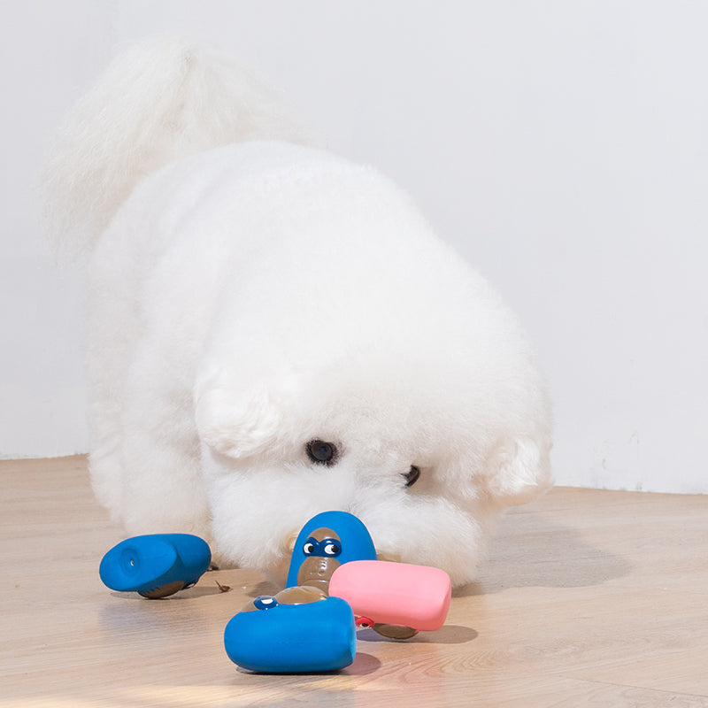bichon is playing latex toy kiki in blue color