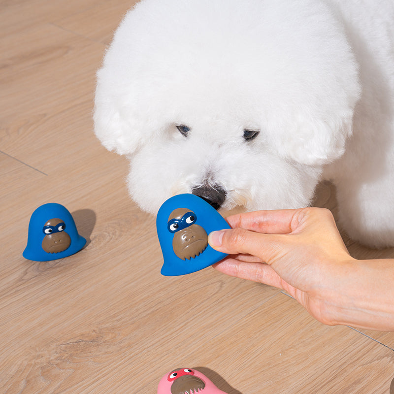 bichon is playing latex toy kiki in blue color