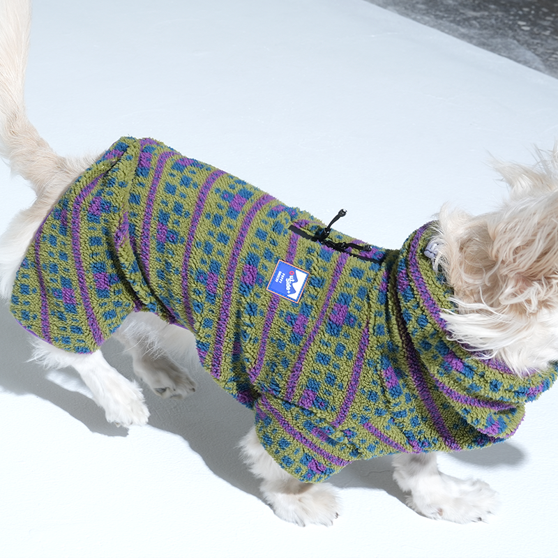 Dachshund in sherpa fleece all in one in green colour