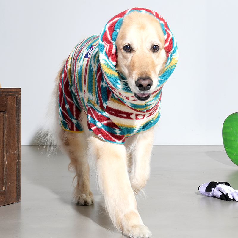 Golden Retriever in sherpa fleece all in one