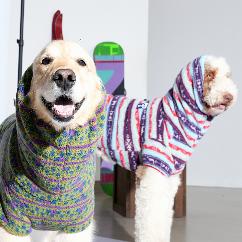 Golden Retriever in fleece all in one in green