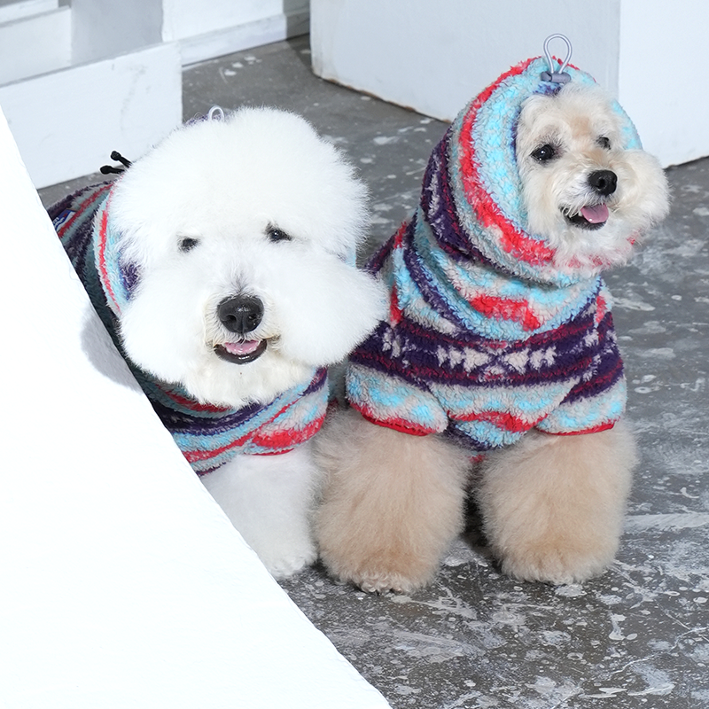 bichon and poodle in sherpa fleece all in one
