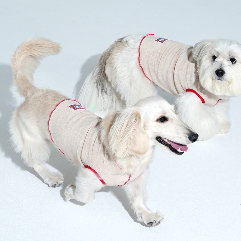dachshund and mix dog wearing tracking fleece top in beige color