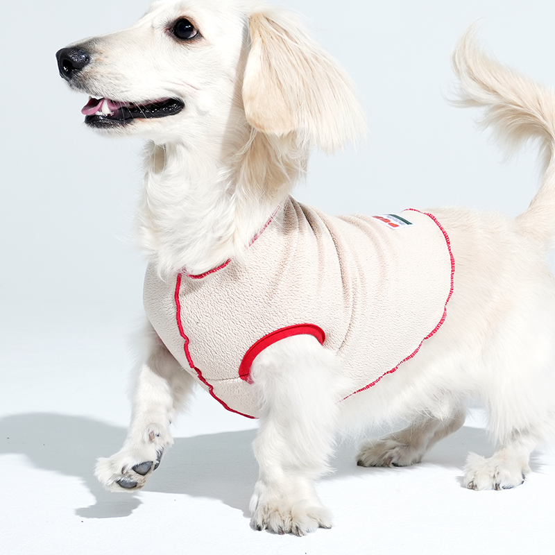 dachshund wearing tracking fleece top in beige color