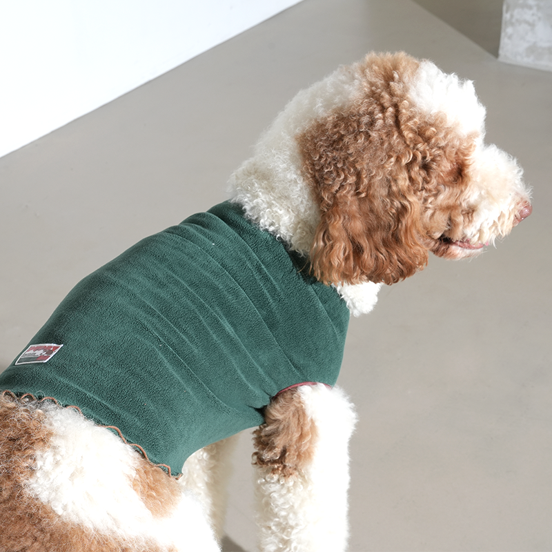 standard poodle wearing tracking fleece top in green color