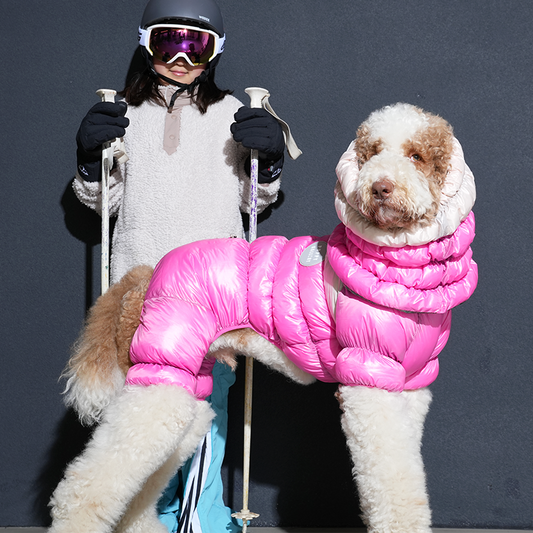 standard wearing whistler cloud all in one in pink color