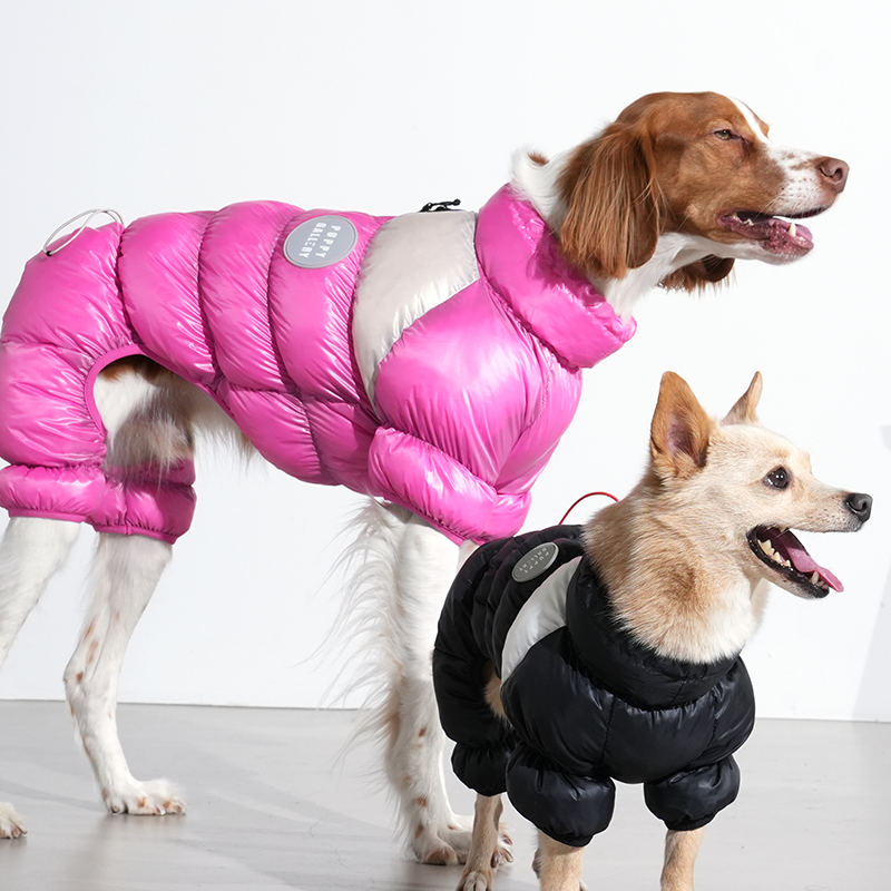 Brittany spaniel and mix dog are wearing whistler cloud all in one in pink and black color
