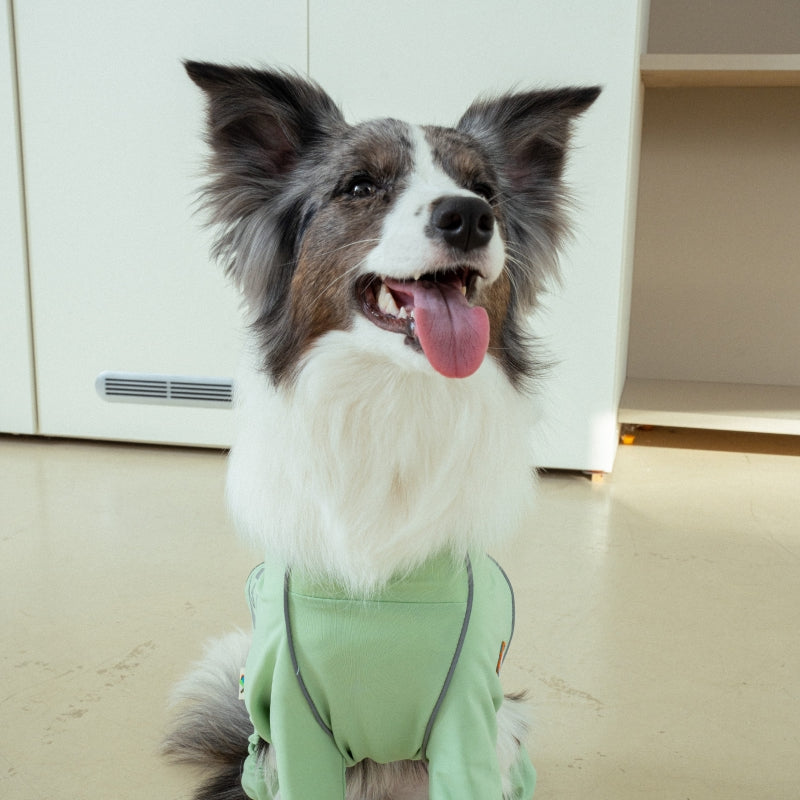Essential Training Suit (Standard Leg) - Pet Cooling Jumpsuit