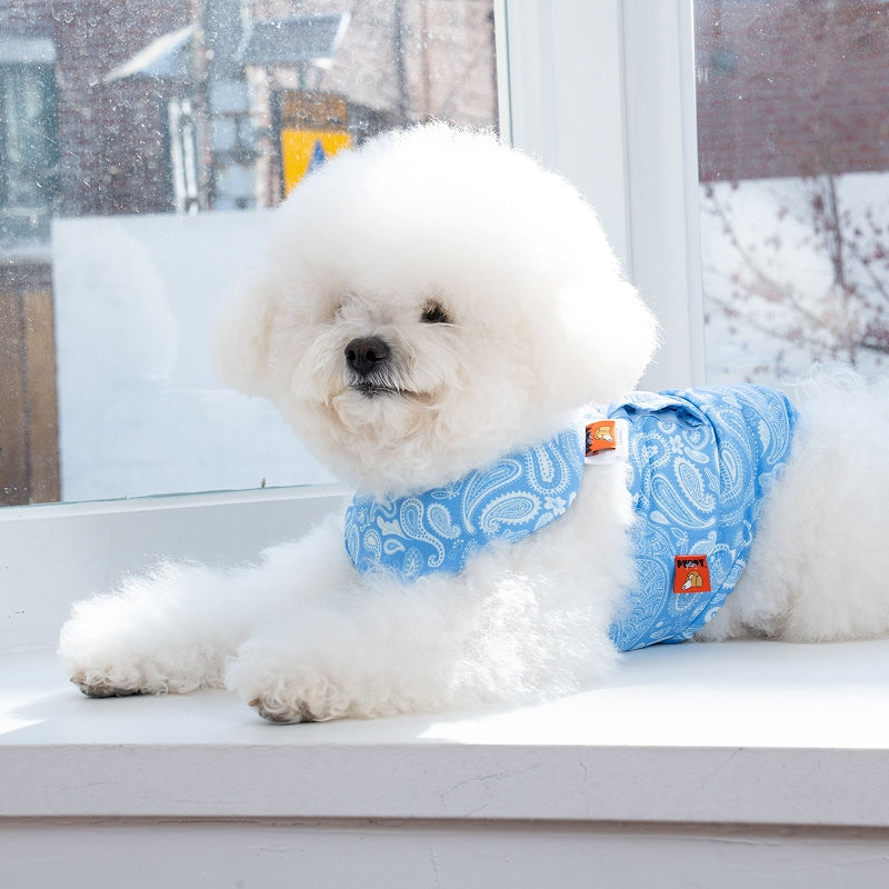 Paisley Lover Pet Cooling Bandana