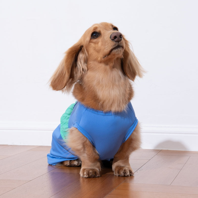 Love Frill Pet Cooling Romper