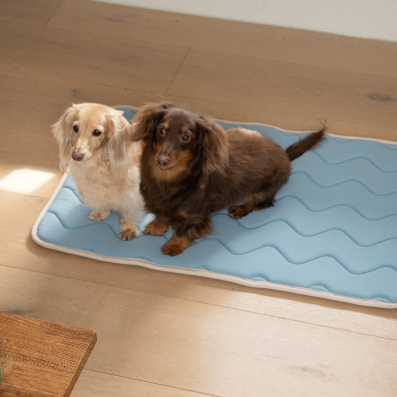Cool Wave Memory Foam Pet Mat