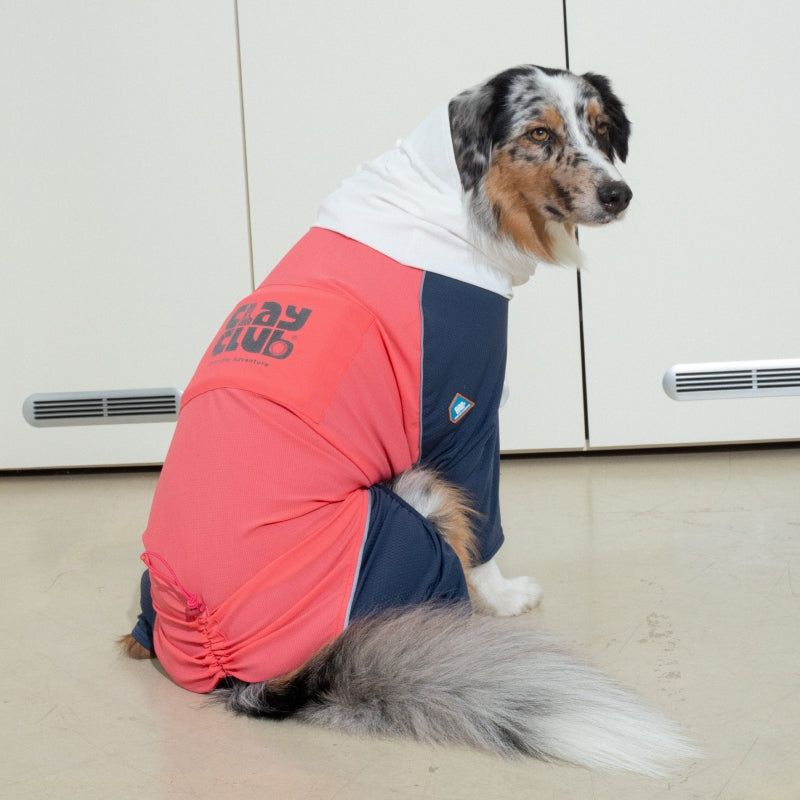 Clay Cooling Pro All-in-One - Pet Cooling Jumpsuit