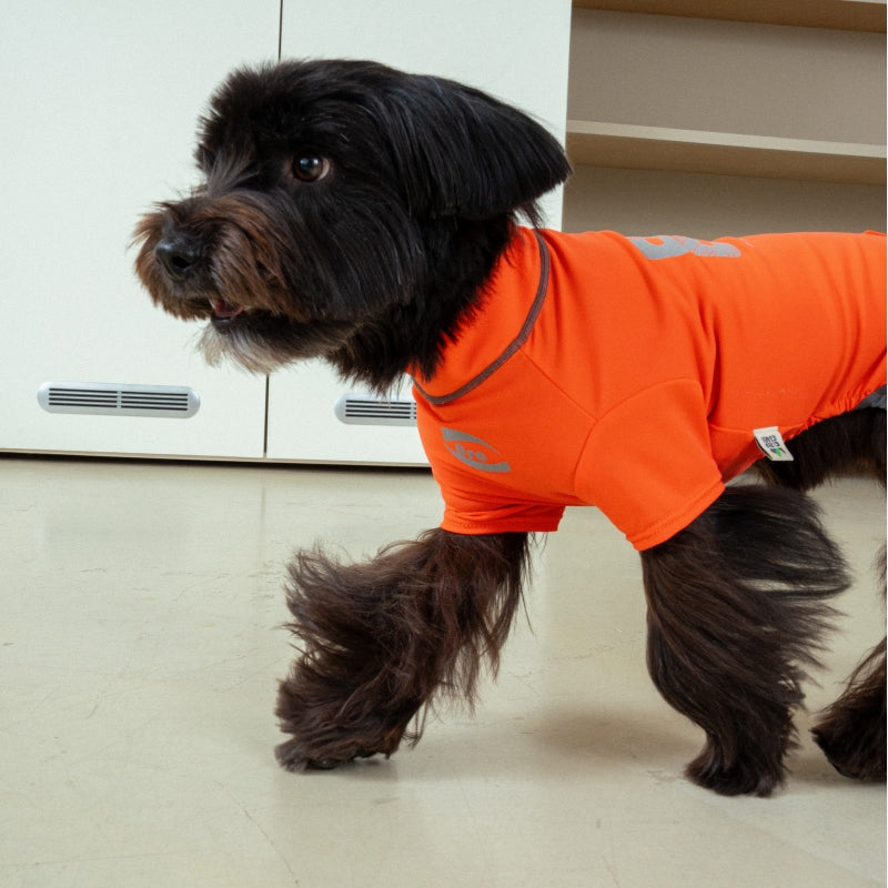 Essential Training Suit (Short Leg) - Pet Cooling Jumpsuit