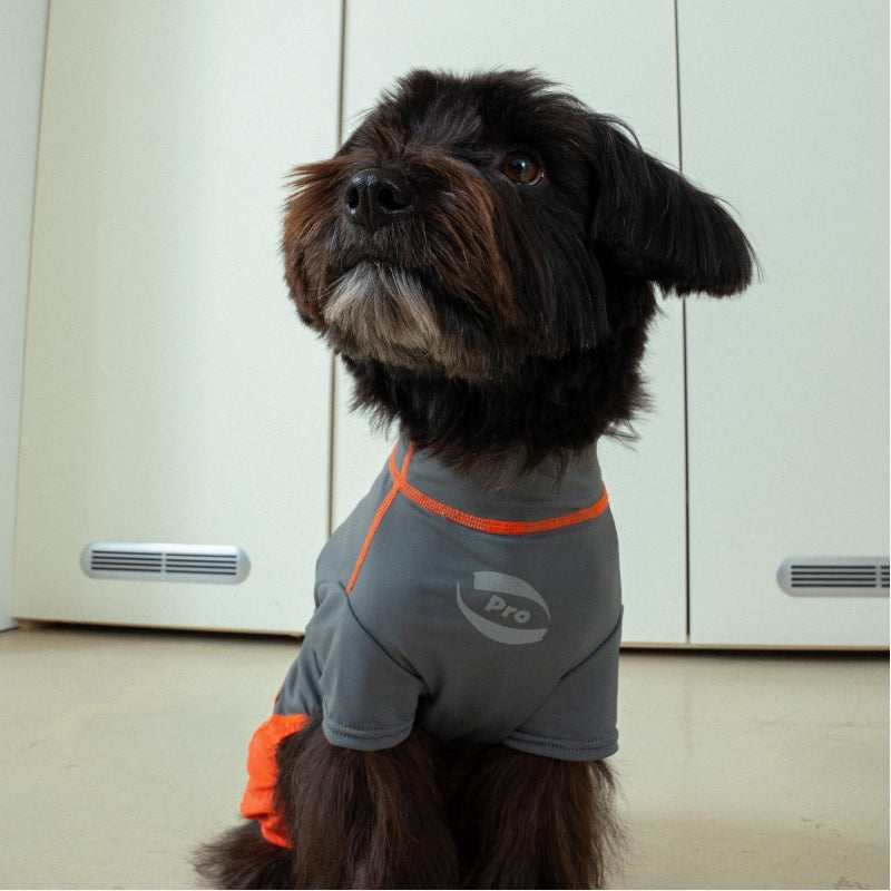 Essential Training Suit (Short Leg) - Pet Cooling Jumpsuit