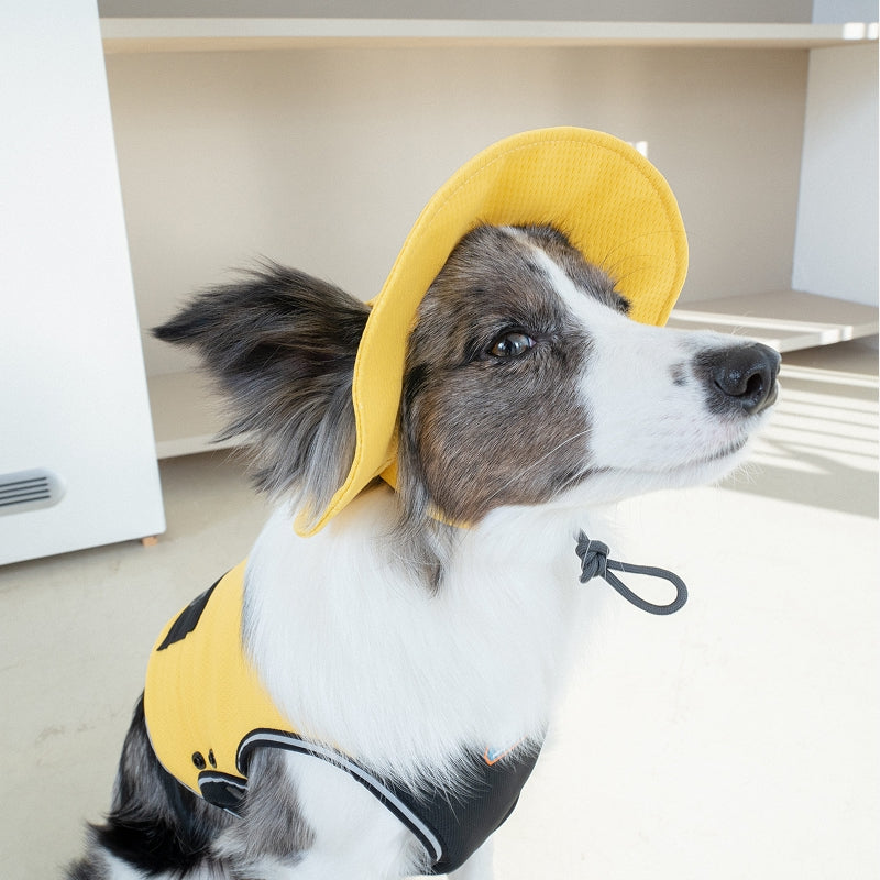 Clay Cooling Dog Hat
