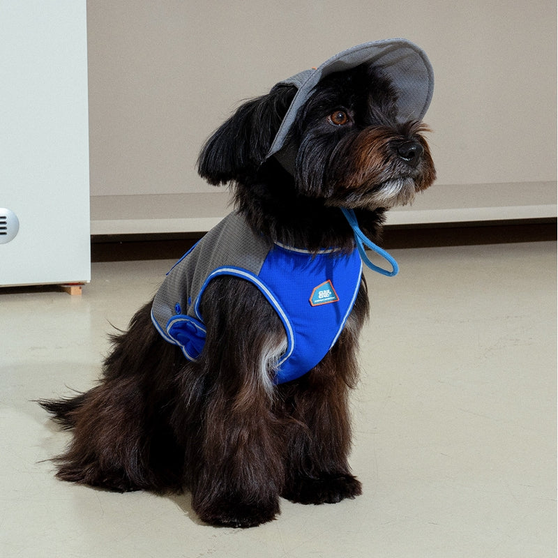 Clay Cooling Dog Hat