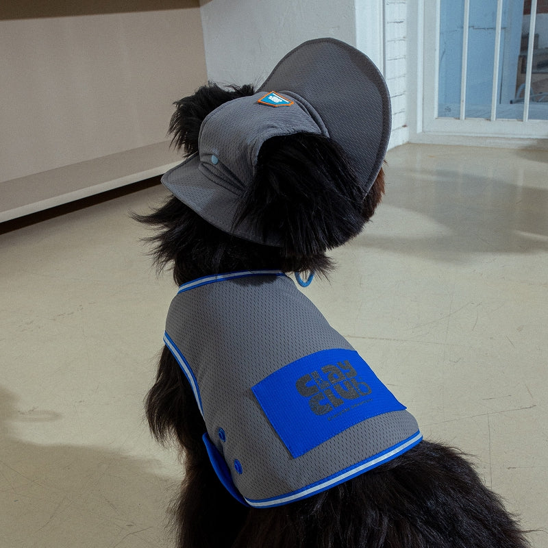 Clay Cooling Dog Hat
