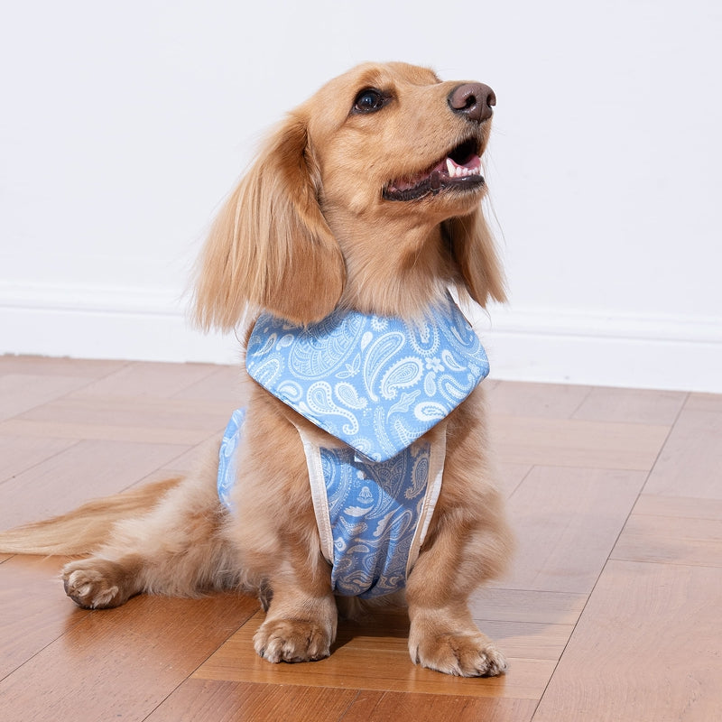 Paisley Lover Pet Cooling Bandana