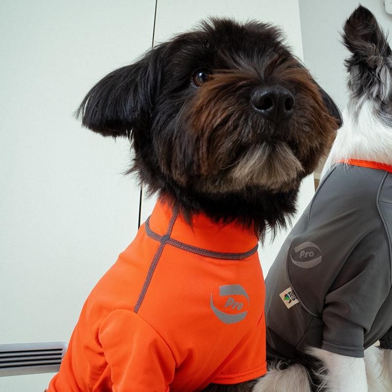 Essential Training Suit (Short Leg) - Pet Cooling Jumpsuit